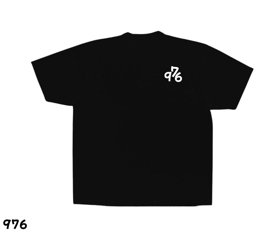 976 Logo